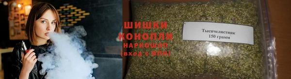 Альфа ПВП Лабытнанги