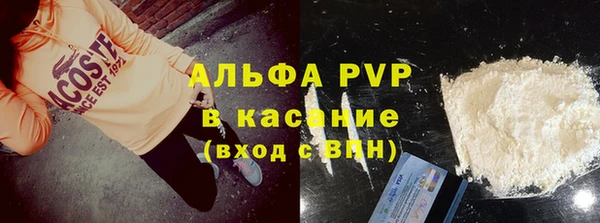 сатива Куйбышев