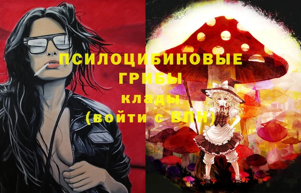 сатива Куйбышев