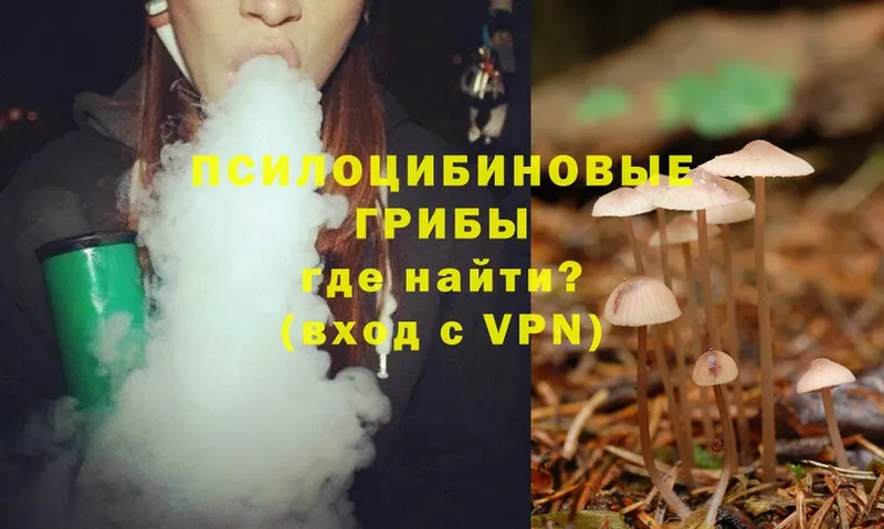 Галлюциногенные грибы Magic Shrooms  Ельня 