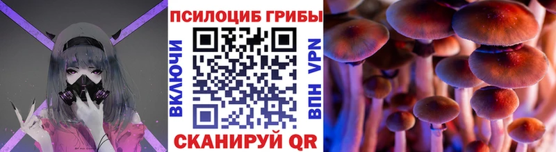 Галлюциногенные грибы GOLDEN TEACHER  Ельня 